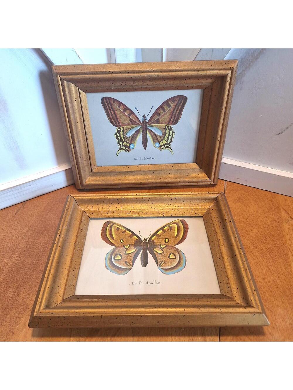 Le P. Machaon & Apollon Brown Butterfly Framed Art Prints Golden Wood VNTG Pair